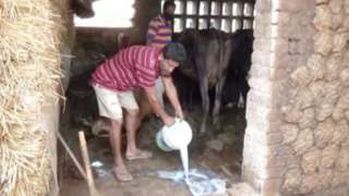 पश्चिम बंगाल दूध डेयरी