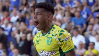 Onel Hernandez celebrates getting the second Norwich goal