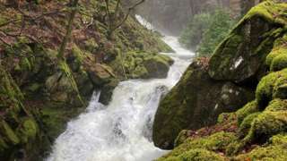 A waterfall running through a temperate rainforest in the Lake District in Cumbria