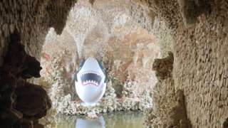 A shark egg statue reflected in water