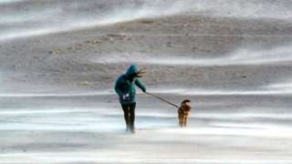 Woman walks dog in the wind on Tynemouth beach