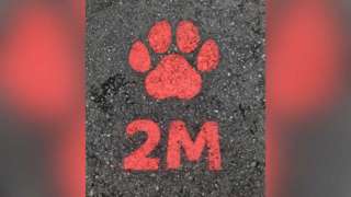 Zoo paw print sign