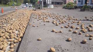 Potato blockade
