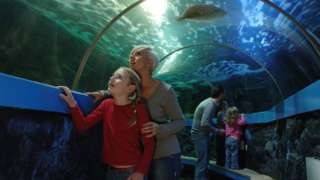 woman and girl looking up at aquarium