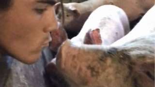 Wesley Omar with a pig