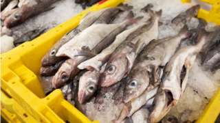 Pallet of fish at Grimsby Fish Market