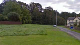 Woodland near Prosper Lane, Coalway