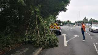 Storm clear-up