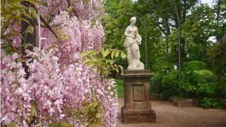 Flowers in bloom at Trentham Gardens in Staffordshire