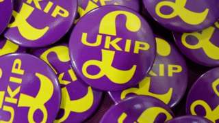 UKIP badges