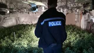 POlice officer in farm