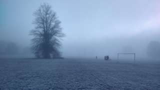 A frosty and foggy park