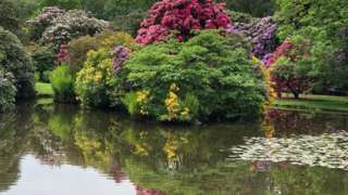 Trees reflected in water at Biddulph Grange Gardens in Staffordshire