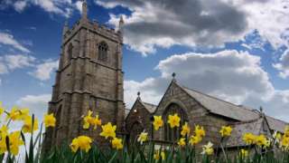 Daffodils in a churchyard