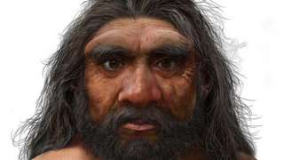 ภาพจากฝีมือศิลปินจำลองใบหน้าของ "มนุษย์มังกร" (Homo longi)