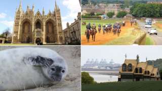 Peterborough Cathedral; Newmarket; Horsey seal pup; Grayson Perry's House For Essex with Port of Felixstowe in background