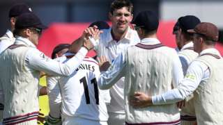 Somerset celebrate wicket