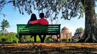 Rear View Of Couple Sitting On Bench Against Trees