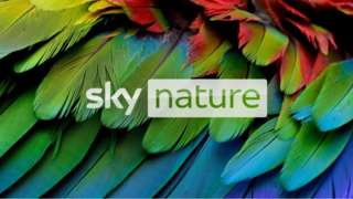 Sky's new nature channel launches today - with HDR programmes available on-demand