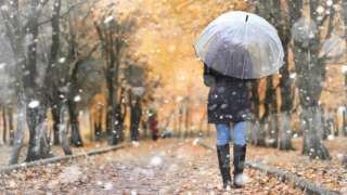 A woman walking through a park with an umbrella