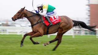 Cloth Cap wins at Newbury