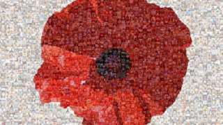 Poppy mosaic