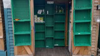 Empty food bank shelves