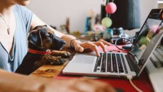 Woman and dog working at home