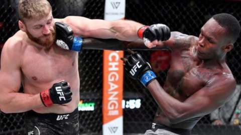 Blachowicz and Adesanya