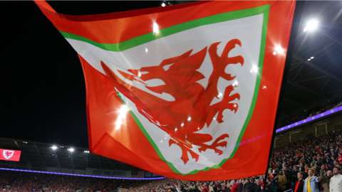 Wales flag at Cardiff City Stadium
