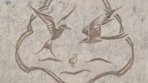Sand art drawing on little terns