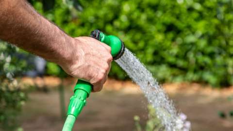 A man watering a garden with a hosepipe,