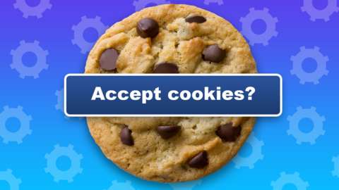 A chocolate chip cookie biscuit is seen with a banner overlaid, reading "accept cookies" in this illustraton