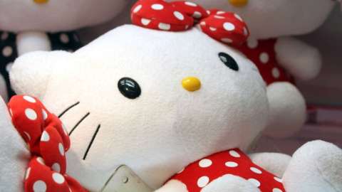 A Hello Kitty toy.