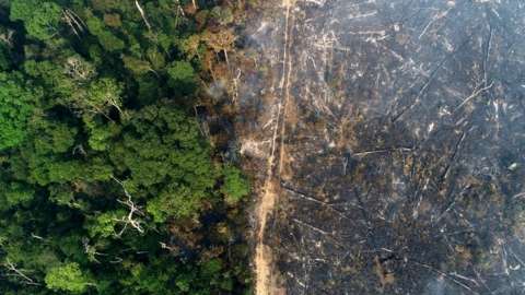 Aerial view of the deforestation of the Amazon, Apui, Amazonas State