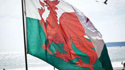 Wales national flag