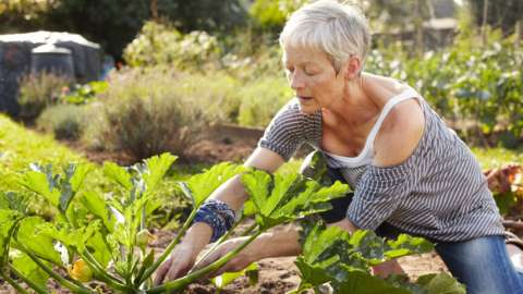 Pensioner gardening