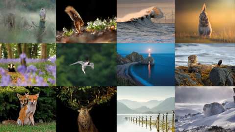 Countryfile pictures