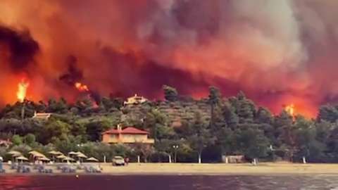 Evia wildfires