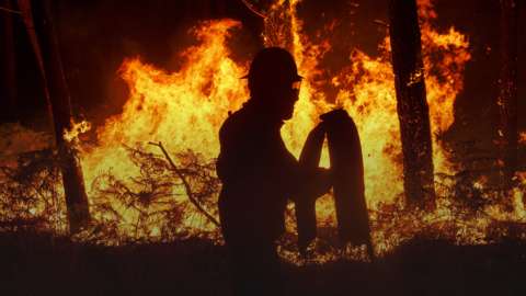 A firefighter battles flames during the Portuguese wildfires of 2017