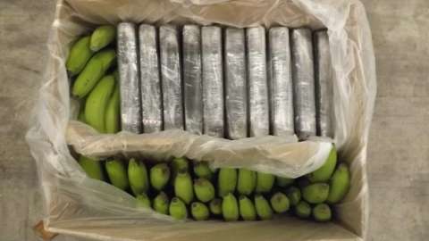 Cocaine in banana boxes