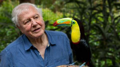 David Attenborough - A Life In Pictures