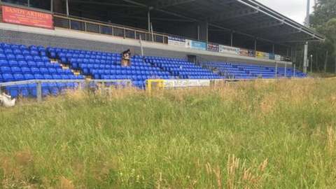 Long weeds growing in front of the main stand at the Riverside Stadium