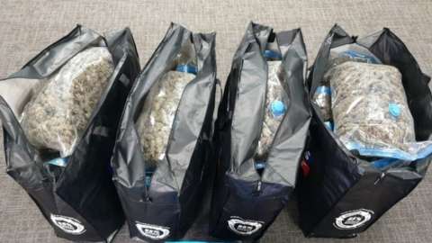 Bags of drugs