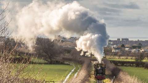 Steam train on Talyllyn Railway