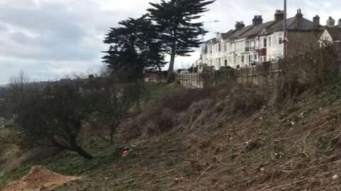 Trees removed Leigh Cliffs East
