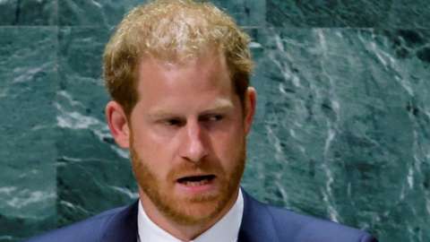 Prince Harry at UN