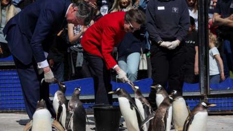 Princess Anne feeding penguins