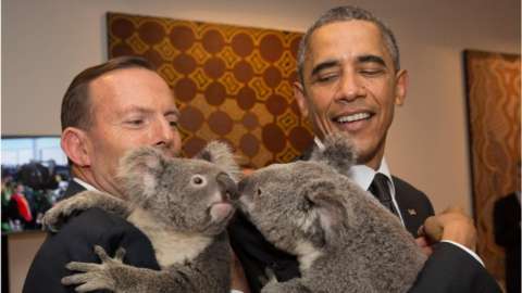 G20 leaders meet a koala. Australia's Prime Minister Tony Abbott and United States' President Barack Obama meet Australian koalas before the start of the first G20 Leaders' Summit session on 15 November 2014.