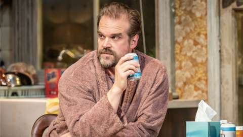 David Harbour in Mad House
